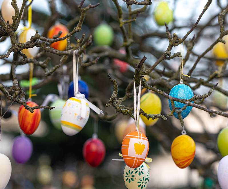 An den kahlen Ästen eines Baumes hängen bunte Ostereier, die mit verschiedenen Mustern und Designs verziert sind und so ein festliches und fröhliches Bild ergeben. Der Hintergrund ist sanft verschwommen.
